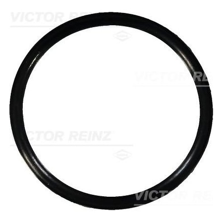 Reinz Bearing O-Ring, 40-76367-00 40-76367-00